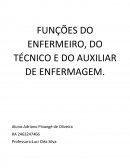 FUNÇÕES DO ENFERMEIRO, DO TÉCNICO E DO AUXILIAR DE ENFERMAGEM