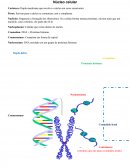 Resumo de bio