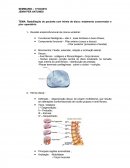 Seminario de Hernia Discal