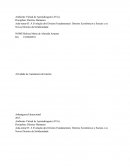 A Evolução dos Direitos Fundamentais: Direitos Econômicos e Sociais e os Novos Direitos da Solidariedade