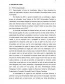 Denominação e forma de constituição, dados e fatos relevantes da origem da organização, natureza e ramo de atuação, informações sobre o porte da empresa.