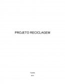 PROCESSO DE RECICLAGEM DO LIXO