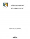 Relatório Fenômeno dos Transportes - Velocidade em canais