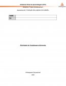 Atividade de Auto Desenvolvimento: A Evolução dos Projetos de Trabalho.