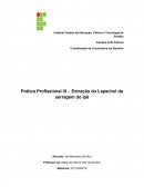 Prática Profissional III - Extração do Lapachol da serragem do ipê