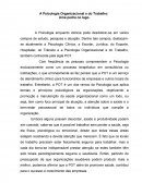 A Psicologia Organizacional e do Trabalho: Uma pedra no lago.