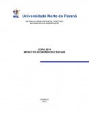 COPA 2014 IMPACTOS ECONÔMICOS E SOCIAIS