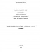 ESTUDO MORFOFUNCIONAL HISTOLÓGICO DAS GLÂNDULAS ADRENAIS