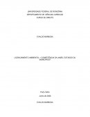 LICENCIAMENTO AMBIENTAL – COMPETÊNCIA DA UNIÃO, ESTADOS OU MUNICÍPIOS?