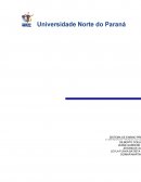 ANÁLISE DE MERCADO E PLANO DE MARKETING DA CLÍNICA FISIOVIDA