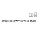 O Treinamento em WPF