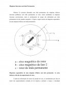 Máquinas Síncronas com Imas Permanentes