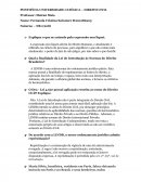 Leis de Introdução às Normas do Direito Brasileiro