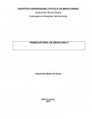 Sociologia 2 - Interacionismo simbólico, etnometodologia, fenomenologia, ação social, relação social