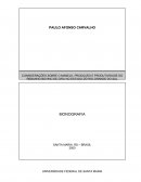 Considerações sobre o manejo, produção e produtividade do rebanho bovino de cria no Estado do Rio Grande do Sul