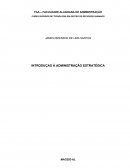 RELATÓRIO INTRODUÇÃO À ADMINISTRAÇÃO ESTRATÉGICA