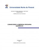 Administração Conhecendo a Empresa Drogaria Querência