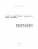 Sustentabilidade das Agências de Desenvolvimento Sócio Econômico e suas relações com lideranças e poder público