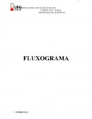 Fluxograma: ENGENHARIA DE ALIMENTOS