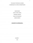 DIAGNÓSTICO EMPRESARIAL SOBRE ADMINISTRAÇÃO