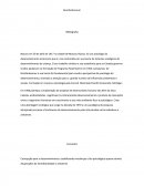 Desenvolvimento: Bronfenbrenner Bibliografia