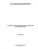 O PRINCIPIO DA IGUALDADE EM RELAÇÃO À ADOÇÃO POR CASAIS HOMOAFETIVOS