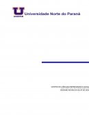 Portifolio 1 semestre adm individual