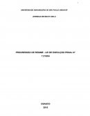 PROGRESSÃO DE REGIME - LEI DE EXECUÇÃO PENAL N° 7.210/84