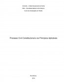 Principios Constitucionais