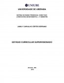SISTEMA DE ENSINO PRESENCIAL CONECTADO LICENCIATURA EM MATEMÁTICA – 4° SEMESTRE