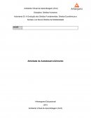 A Evolução dos Direitos Fundamentais: Direitos Econômicos e Sociais e os Novos Direitos da Solidariedade