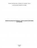 RESSOCIALIZAÇÃO DO APENADO: A DIFICULDADE DO RETORNO À SOCIEDADE