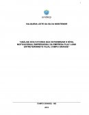 “ANÁLISE DOS FATORES QUE DETERMINAM O NÍVEL MOTIVACIONAL EMPRESARIAL DA EMPRESA PLAY LAND ENTRETERNIMETO FILIAL CAMPO GRANDE”