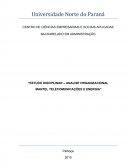 ESTUDO DISCIPLINAR – ANALISE ORGANIZACIONAL MANTEL TELECOMUNICAÇÕES E ENERGIA