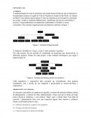 A Implementação do Lean Construction