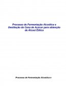 Relatório - Pratica Processo de Fermentação Alcoólica e Destilação da Cana de Açúcar para obtenção de Álcool Etílico