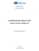 SHELLSORT ALGORITMOS DE ORDENAÇÕES