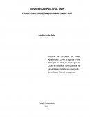 PROJETO INTEGRADO MULTIDISCIPLINAR - PIM EM INFORMÁTICA