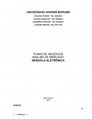 GESTÃO FINANCEIRA PLANO DE NEGÓCIOS ANALISE DE MERCADO