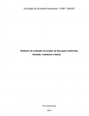 Relatório de avaliação do projeto de Educação Ambiental, Nutrição, Cidadania e Saúde