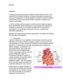 A doença cardiovascular por termo Distúrbio do Ritmo Cardíaco (DRT)