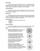 Metodologia Visual Radiação