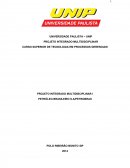 PROJETO INTEGRADO MULTIDISCIPLINAR l PETRÓLEO BRASILEIRO S.A/PETROBRAS