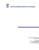 A COMPREENSÃO E APLICAÇÃO DO PROJETO ÉTICO-POLÍTICO DO SERVIÇO SOCIAL BRASILEIRO JUNTO AS POLÍTICAS SOCIAIS – A REALIDADE LOCAL