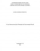 A Luta Internacional pela Eliminação da Discriminação Racial