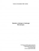 Microscopia: O microscópio é um instrumento que permite a observação de estruturas não perceptíveis a olho nu