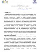 Relatorio neuropsicopedagogia clinica institucional