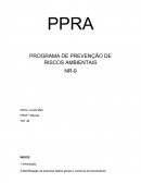 PPRA - Programa de Prevenção de riscos e acidentes
