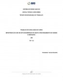 IMPORTÂNCIA DO USO DE EPI’S EM EMPRESAS DE ABATE E PROCESSAMENTO DE CARNES E DERIVADOS