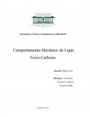 Comportamento Mecânico de Ligas Ferro-Carbono